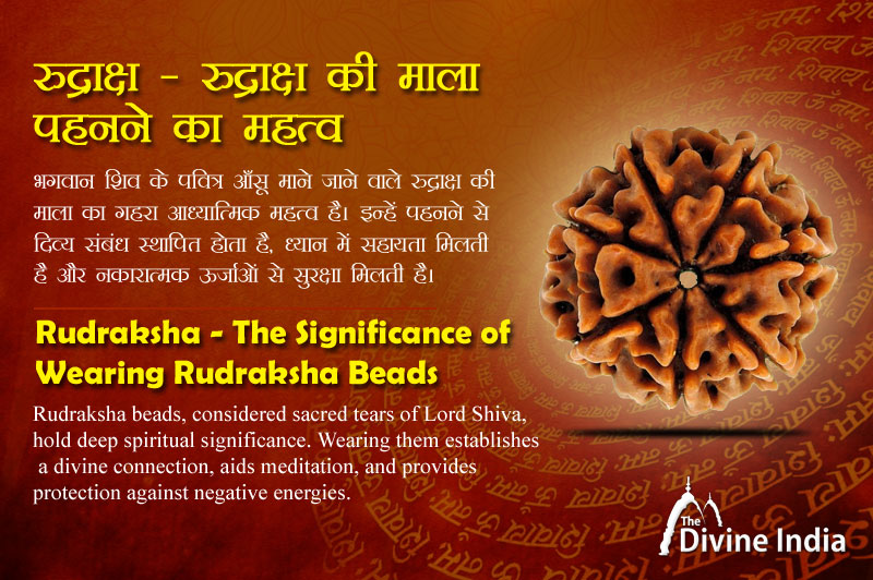 Rudraksha The Significance Of Wearing Rudraksha Beads