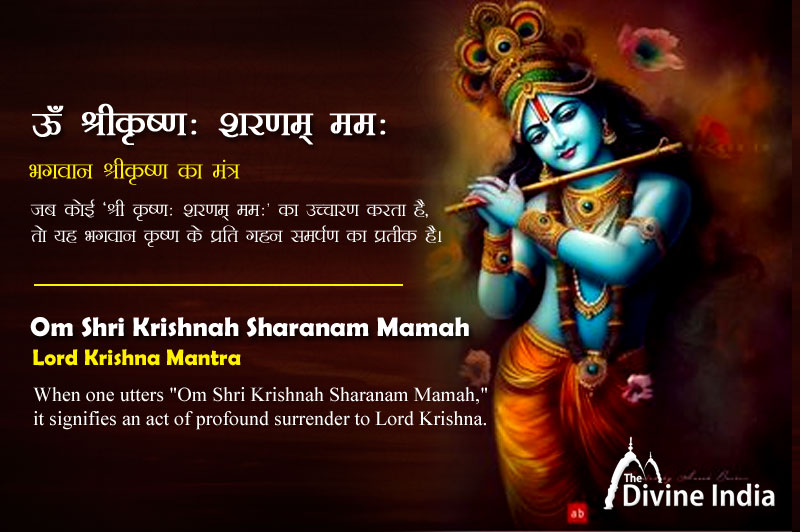 Om Shri Krishnah Sharanam Mamah - Lord Krishna Mantra | Om Shri ...