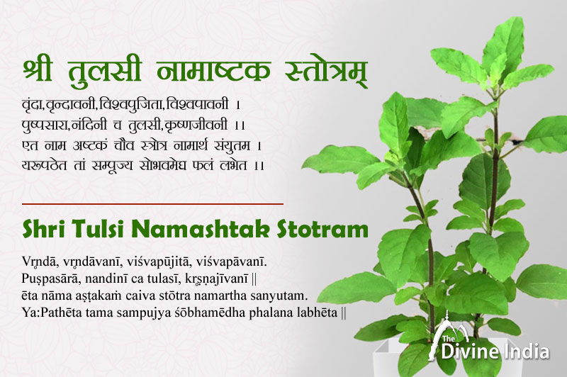 Shri Tulsi Namashtak Stotram | Vrinda, Vrindavani, Vishvapujita ...